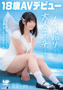 高星なぎさ